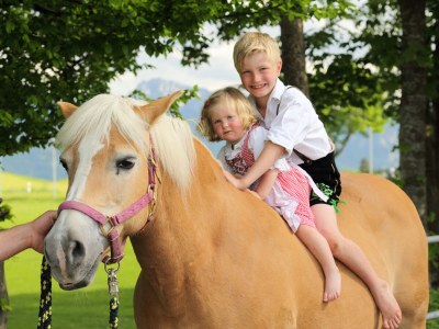 Farmhouse Linder 2 - Environment photo 28