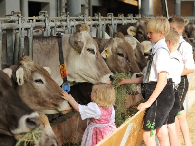 Farmhouse Linder 2 - Environment photo 29