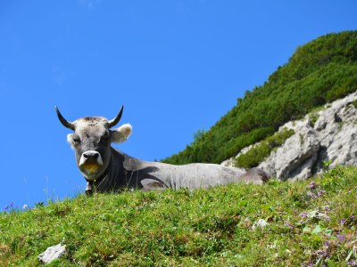 Farmhouse Linder 2 - Environment photo 39