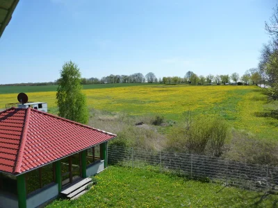 Holiday apartment Ostseebad - Outdoor photo 4