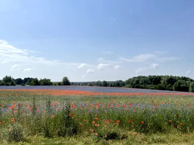 Holiday apartment Ostseebad - Environment photo 14