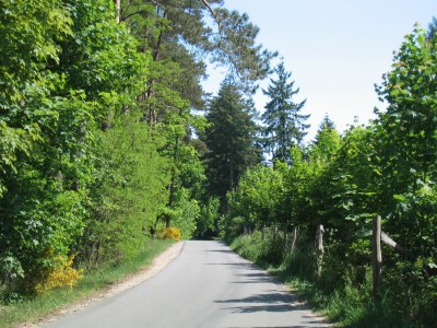 Holiday apartment Ostseebad - Environment photo 17