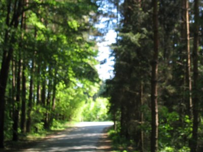 Holiday apartment Ostseebad - Environment photo 18