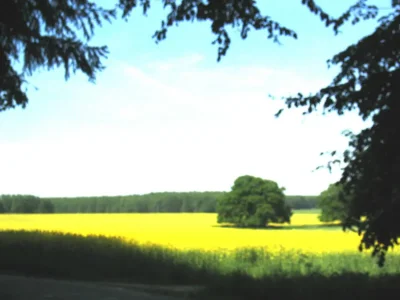 Holiday apartment Ostseebad - Environment photo 19