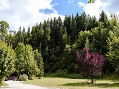 Apartment Residence Domaine De Roche Pointue in Miribel-Lanchâtre - Apartment