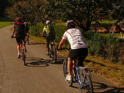 Holiday apartment Ferienwohnung Haus Hug "The small one" - Environment photo 36