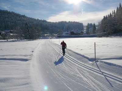 Holiday apartment Ferienwohnung Haus Hug "The small one" - Environment photo 39