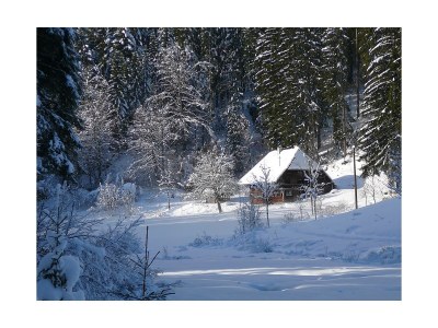 Holiday apartment Ferienwohnung Haus Hug "The small one" - Environment photo 40