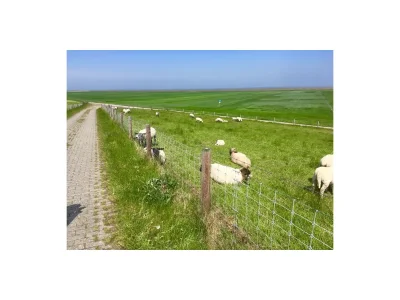 Holiday apartment - Guesthouse Hillen - Outdoor photo 10