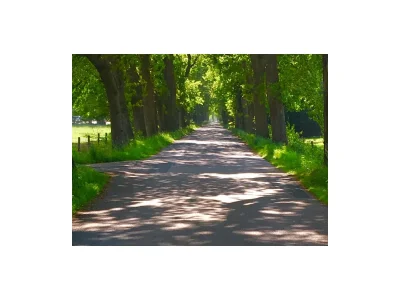 Holiday apartment - Guesthouse Hillen - Outdoor photo 11