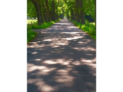 Holiday apartment - Guesthouse Hillen - Environment photo 21