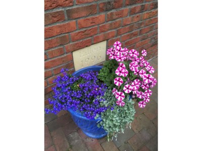 Holiday apartment - Guesthouse Hillen - Document photo 24