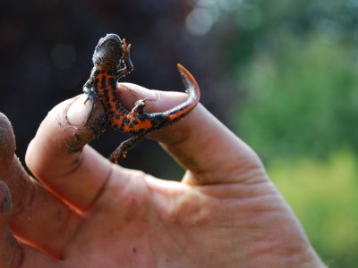 Holiday apartment 1 at House Schultka - Outdoor photo 10