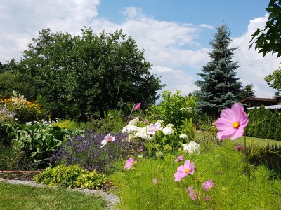 Holiday apartment 1 at House Schultka - Outdoor photo 11