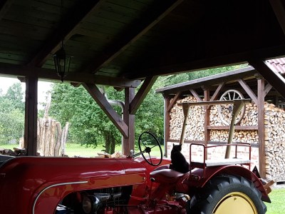 Holiday apartment 1 at House Schultka - Outdoor photo 14