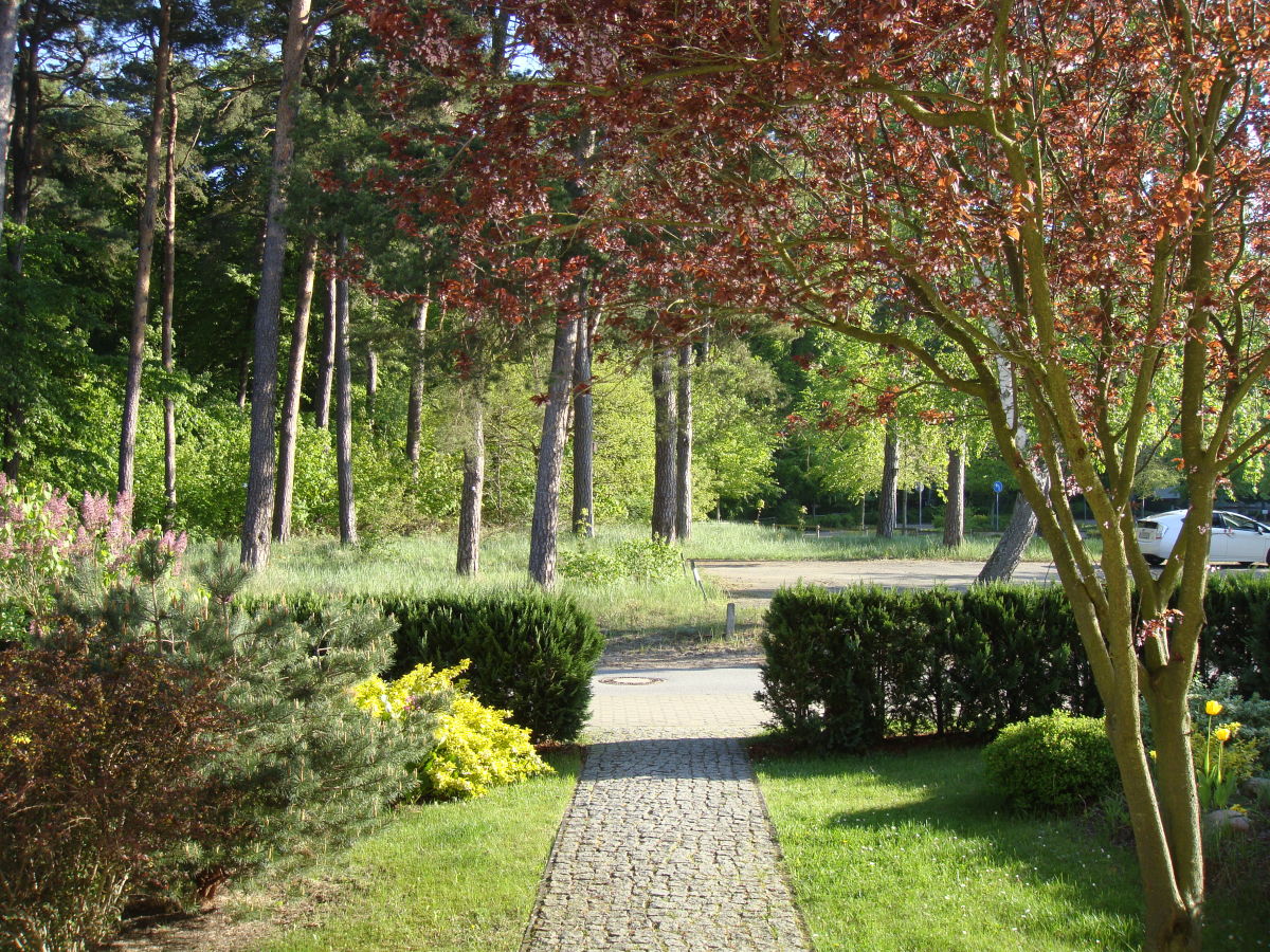 Holiday apartment Villa Strandgut & Ferienhaus Strandperle - Outdoor photo 3