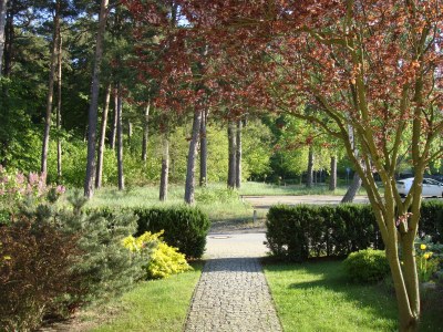 Holiday apartment Villa Strandgut & Ferienhaus Strandperle - Outdoor photo 3