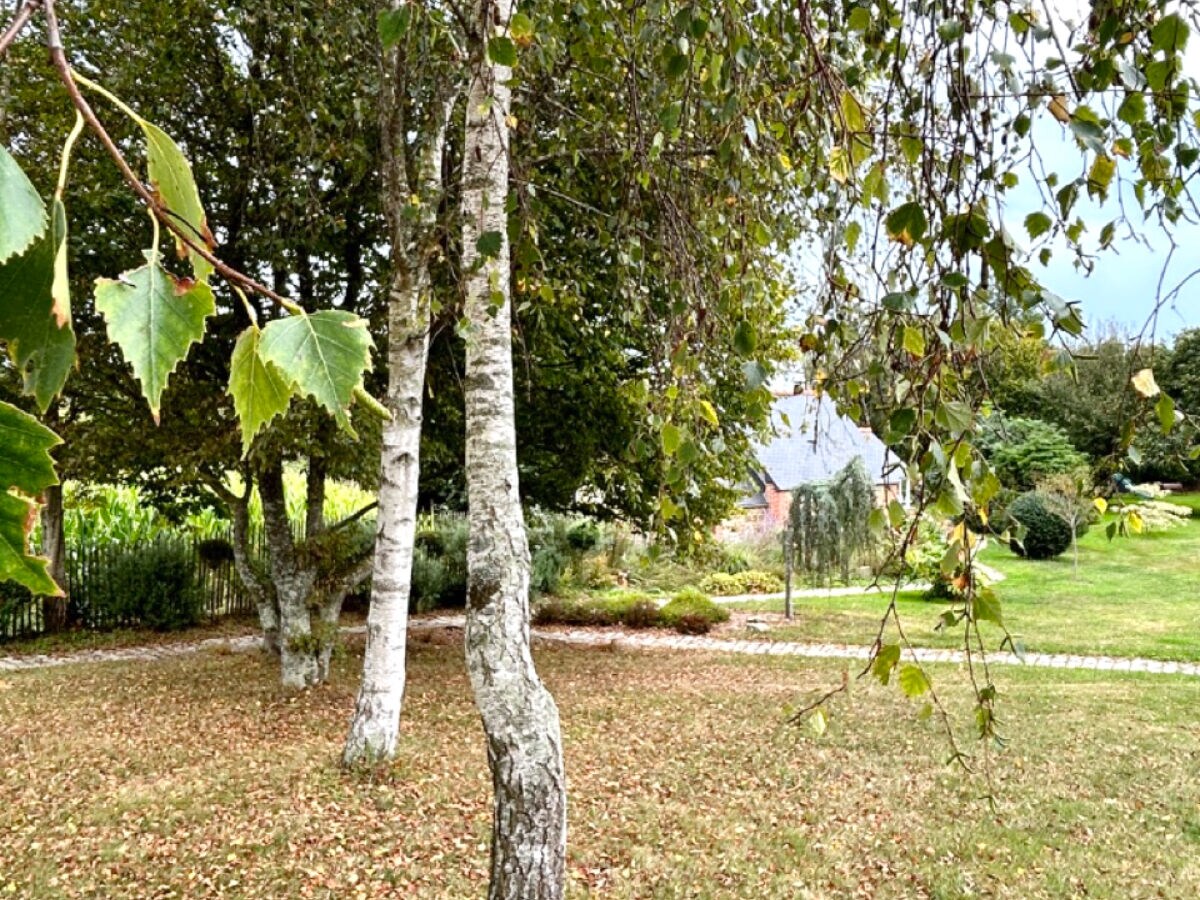 Holiday house Le grand cyprès 1 - Outdoor photo 3