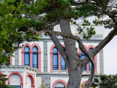 Holiday house Le grand cyprès 1 - Environment photo 31