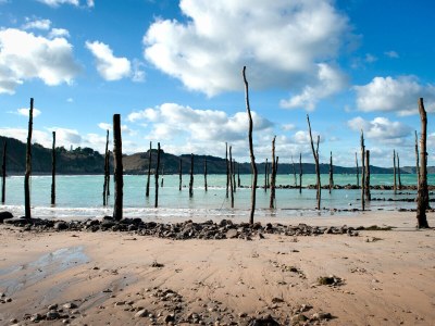 Holiday house Le grand cyprès 1 - Environment photo 33