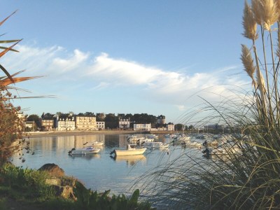 Holiday house Le grand cyprès 1 - Environment photo 36