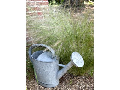 Holiday house La cabane de Charlotte 1 - Outdoor photo 16