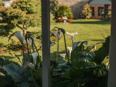 Holiday house La cabane de Charlotte 1 - Outdoor photo 18