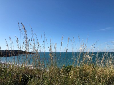 Holiday house La cabane de Charlotte 1 - Environment photo 31