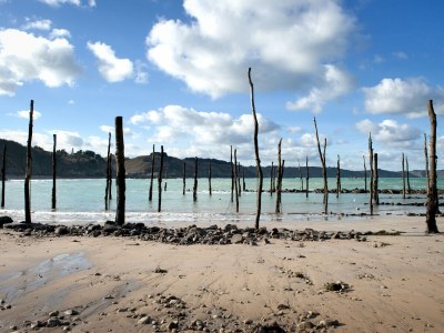 Holiday house La cabane de Charlotte 1 - Environment photo 37