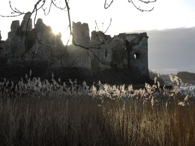 Holiday house La cabane de Charlotte 1 - Environment photo 39