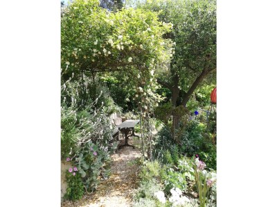 Apartment Lavendel Apartment - Castel d´Incze - Outdoor photo 13