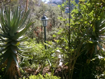 Apartment Lavendel Apartment - Castel d´Incze - Environment photo 20