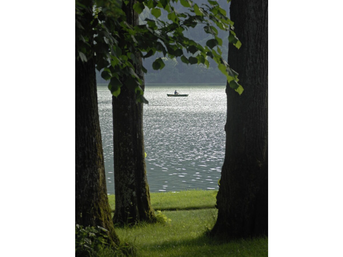 Apartment Lechner am See -  Alm - Outdoor photo 5