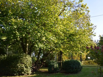 Holiday house Former rectory Alt-Teterin Flat II - Outdoor photo 6