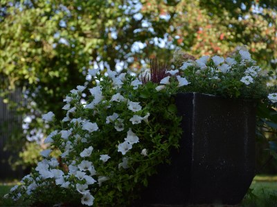 Holiday house Former rectory Alt-Teterin Flat II - Outdoor photo 9