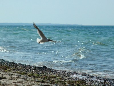 Holiday house Former rectory Alt-Teterin Flat II - Environment photo 28
