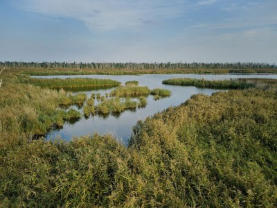 Holiday house Former rectory Alt-Teterin Flat II - Environment photo 30