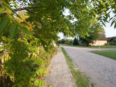 Holiday house Former rectory Alt-Teterin Flat II - Environment photo 31