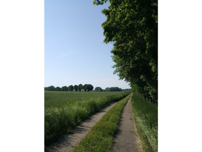 Holiday house Former rectory Alt-Teterin Flat II - Environment photo 33