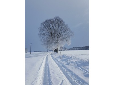 Holiday house Former rectory Alt-Teterin Flat II - Environment photo 34