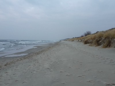 Holiday house Former rectory Alt-Teterin Flat II - Environment photo 35