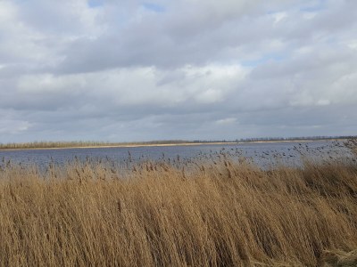 Holiday house Former rectory Alt-Teterin Flat II - Environment photo 36