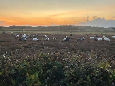 Holiday apartment Gardener - Outdoor photo 4