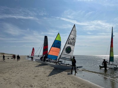 Holiday apartment Gardener - Features photo 21