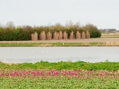 Holiday apartment Gardener - Features photo 22