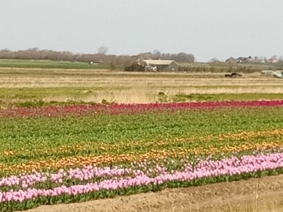 Holiday apartment Gardener - Features photo 23