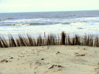 Holiday apartment Gardener - Environment photo 26