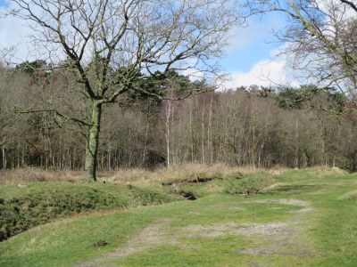 Holiday apartment Gardener - Environment photo 27