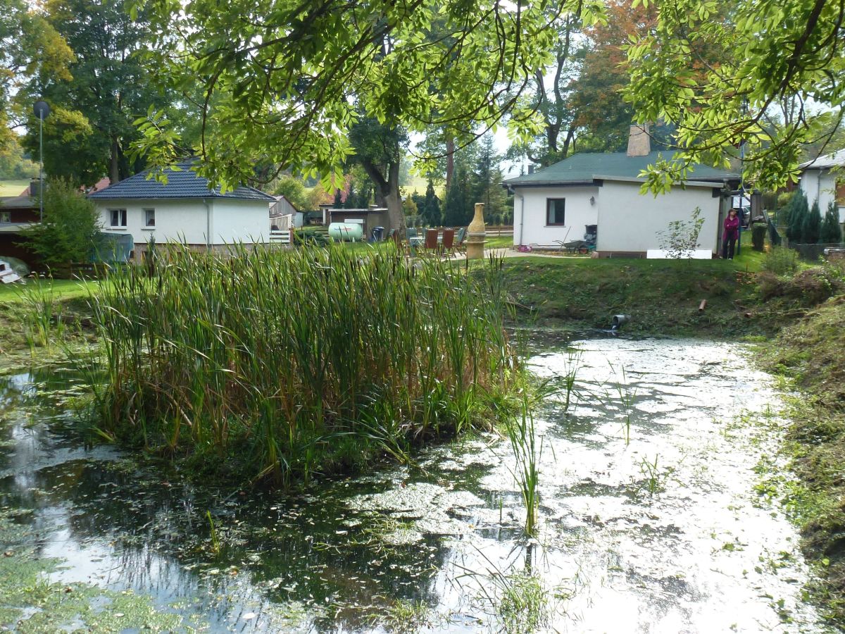 Holiday house "Haus Waldesruh" - Outdoor photo 3