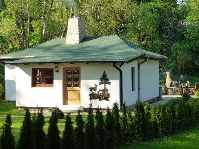 Holiday house "Haus Waldesruh" - Outdoor photo 7